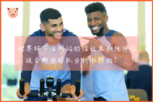 世界杯下注网站的信任度如何评估，适合哪些球队分析和预测？