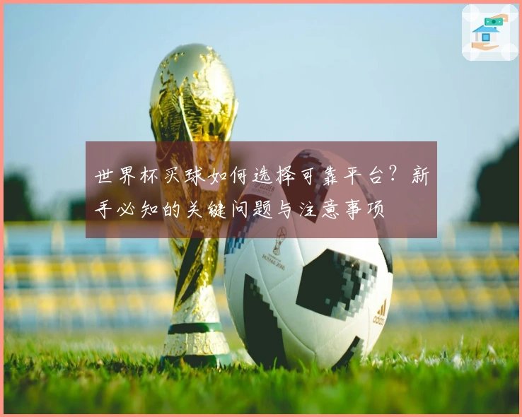 世界杯买球如何选择可靠平台？新手必知的关键问题与注意事项