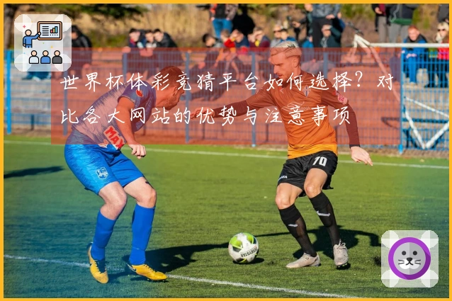 世界杯体彩竞猜平台如何选择？对比各大网站的优势与注意事项