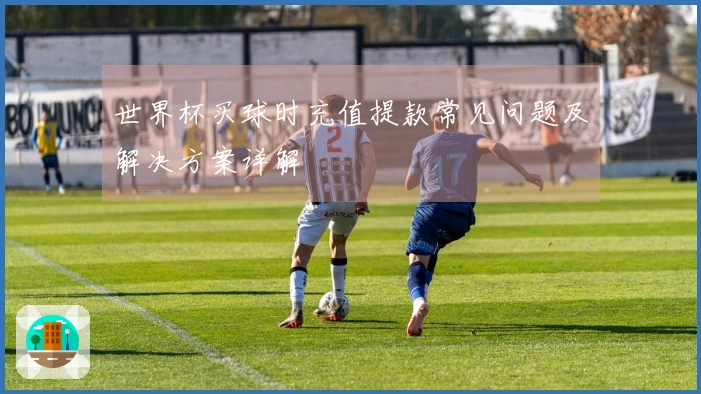 世界杯买球时充值提款常见问题及解决方案详解