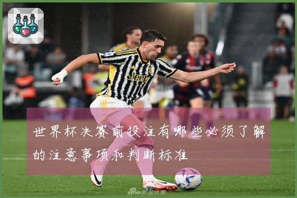 世界杯决赛前投注有哪些必须了解的注意事项和判断标准