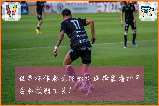 世界杯体彩竞猜如何选择靠谱的平台和预测工具？