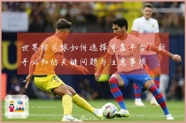 世界杯买球如何选择可靠平台？新手必知的关键问题与注意事项